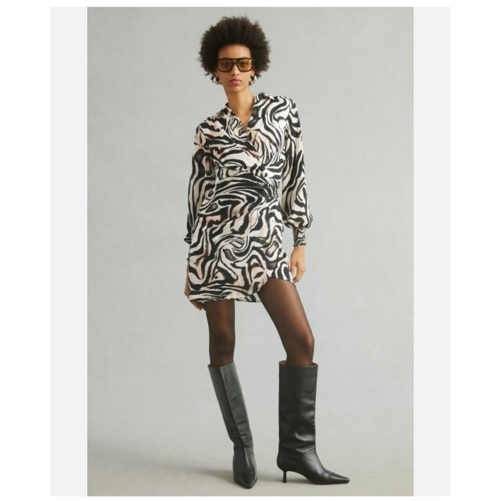 Anthropologie Zebra Print Animal Print Mini Wrap Dress Size 2